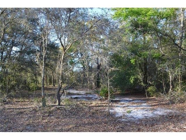 Grandville Hudson FL 34669 A4693025 image1
