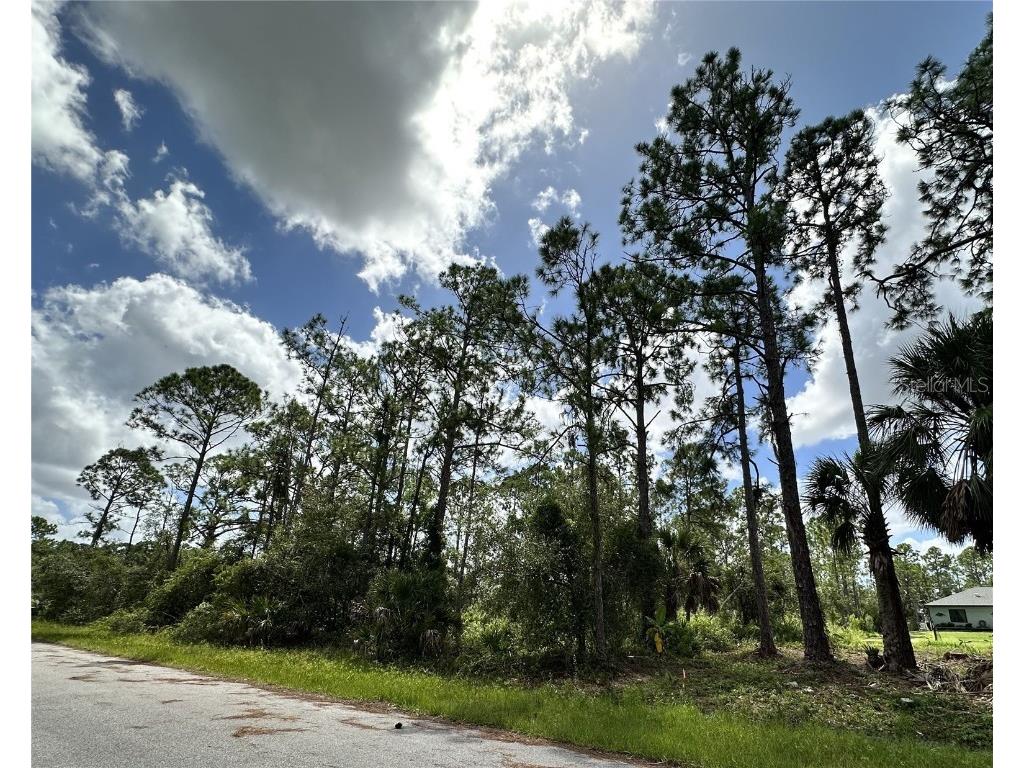 Granito Avenue North Port FL 34291 A4584648 image1