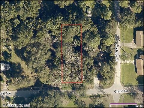 Grant Avenue Eustis FL 32726 G5056401 image1