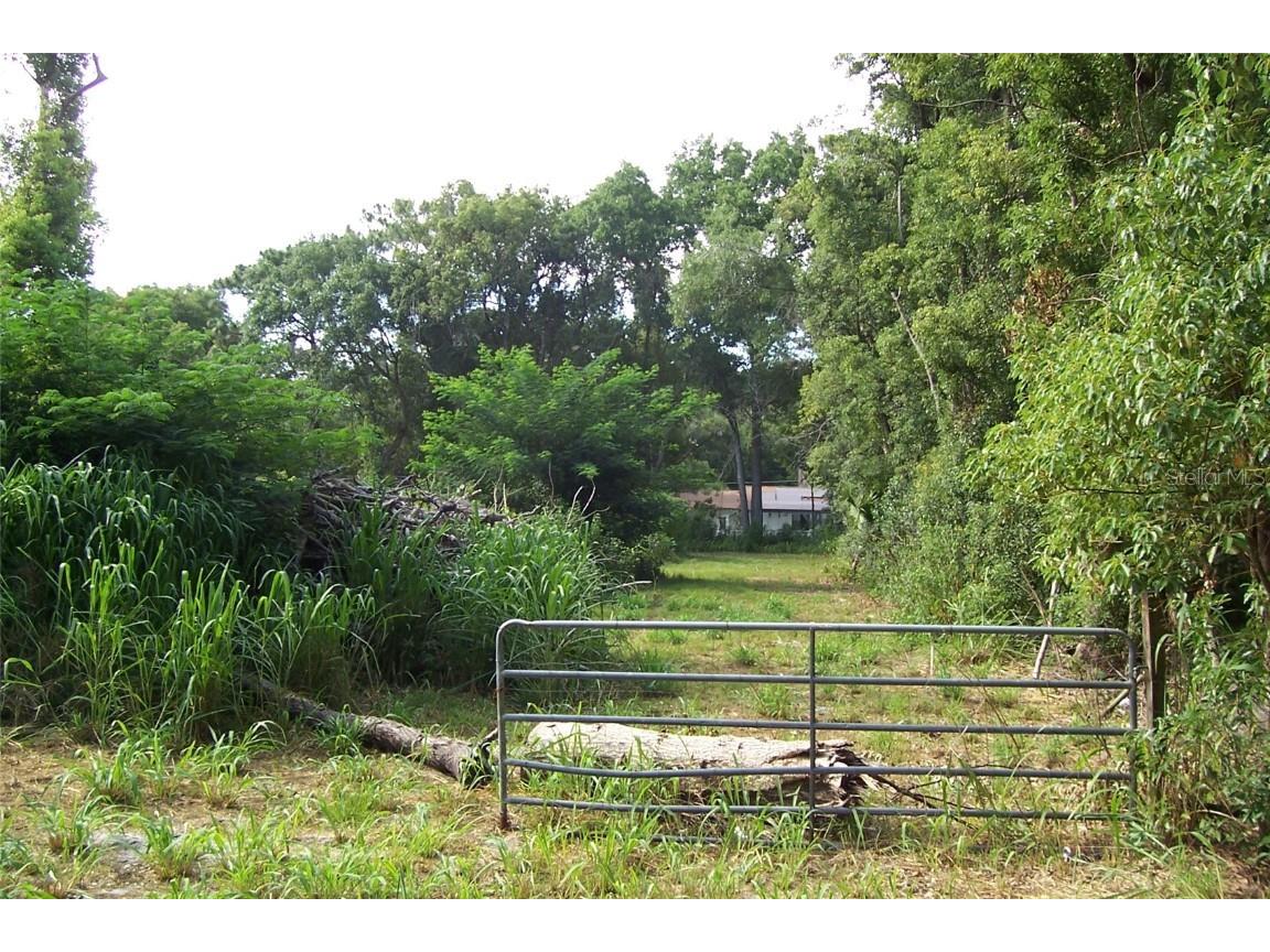 Grant Avenue Eustis FL 32726 G5056401 image2