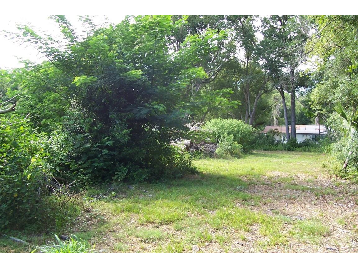 Grant Avenue Eustis FL 32726 G5056401 image3
