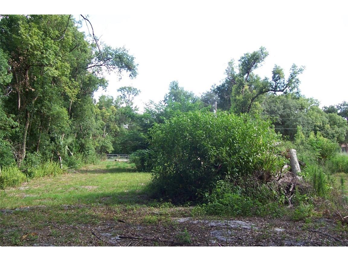 Grant Avenue Eustis FL 32726 G5056401 image4