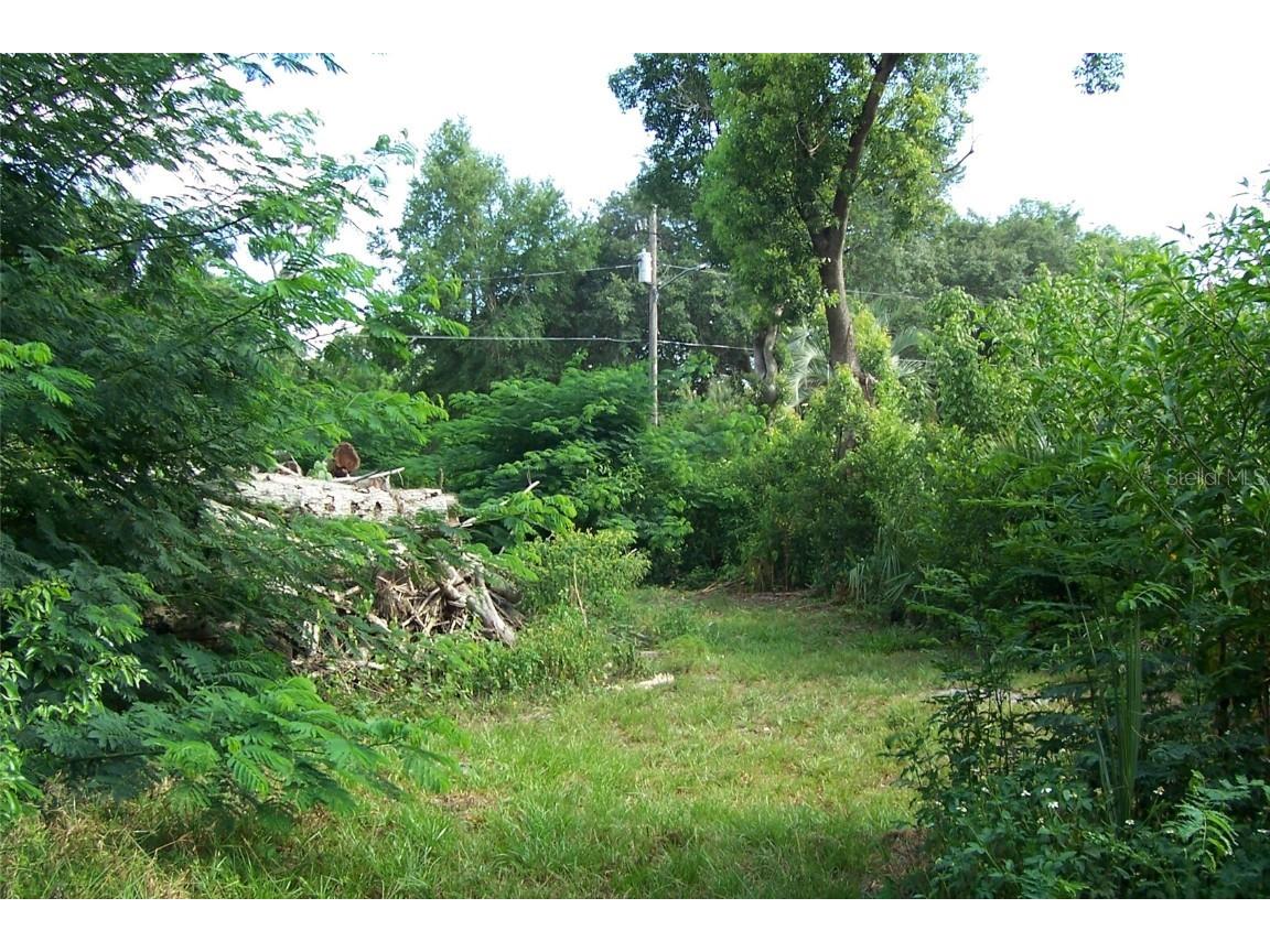 Grant Avenue Eustis FL 32726 G5056401 image5