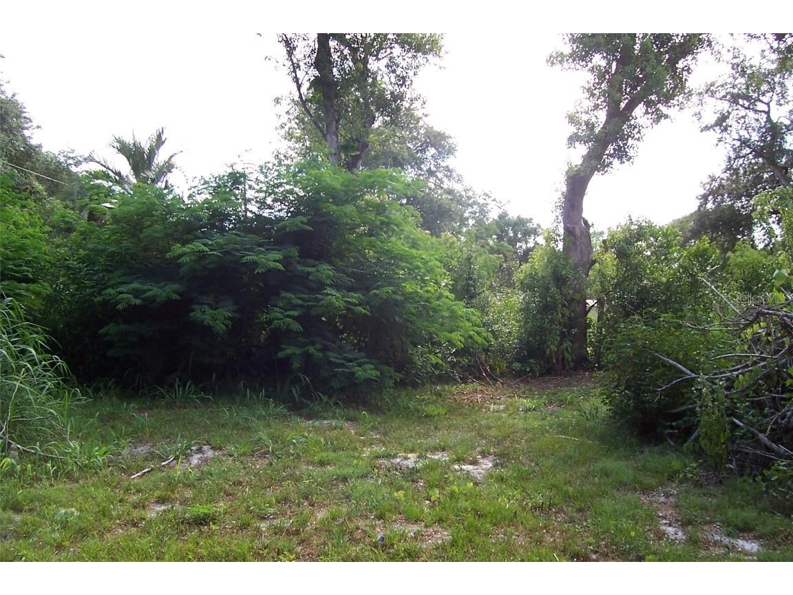 Grant Avenue Eustis FL 32726 G5056401 image6