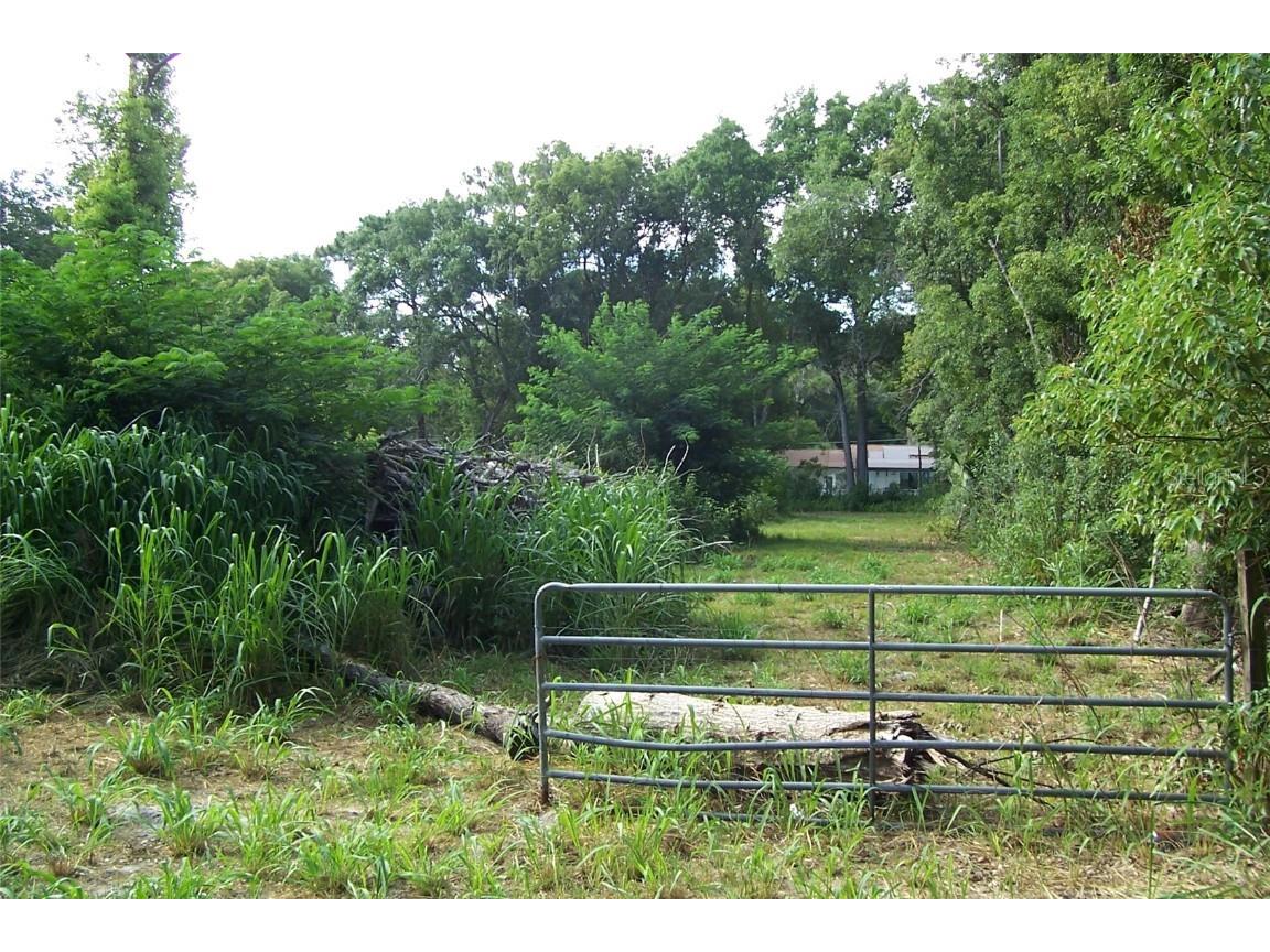 Grant Avenue Eustis FL 32726 G5056401 image7