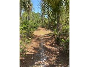 Grant Grant FL 32949 O6300450 image1