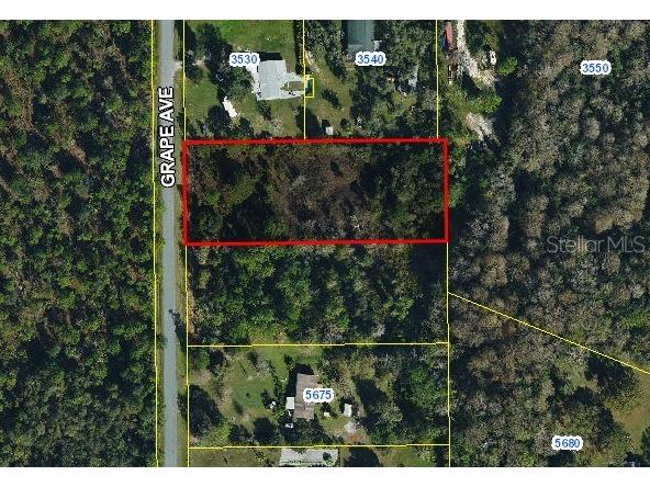 Grape Avenue Okeechobee FL 34972 S5130994 image1