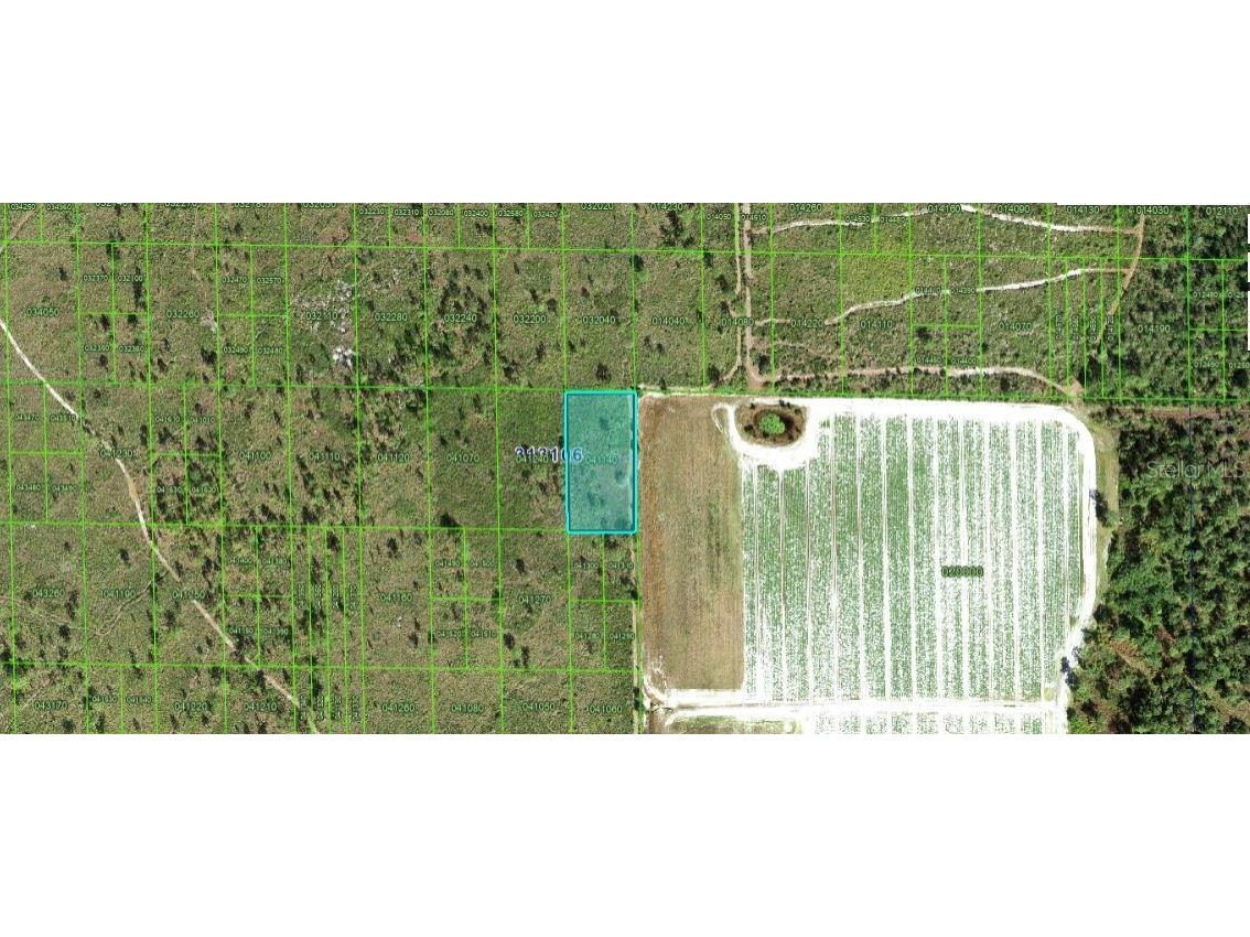 Grape Hammock Rd Lake Wales FL 33898 O6300326 image1