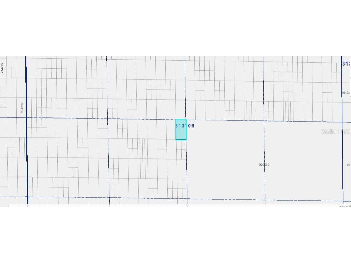 Grape Hammock Rd Lake Wales FL 33898 O6300326 image2