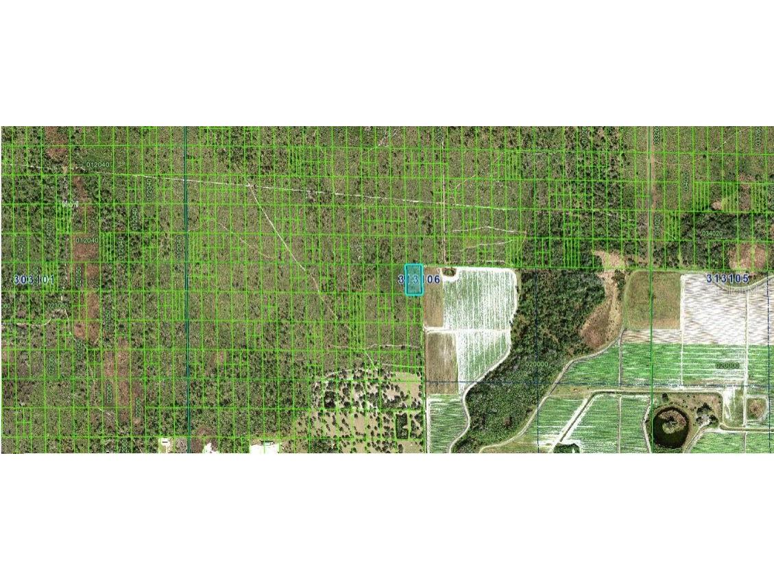 Grape Hammock Rd Lake Wales FL 33898 O6300326 image3