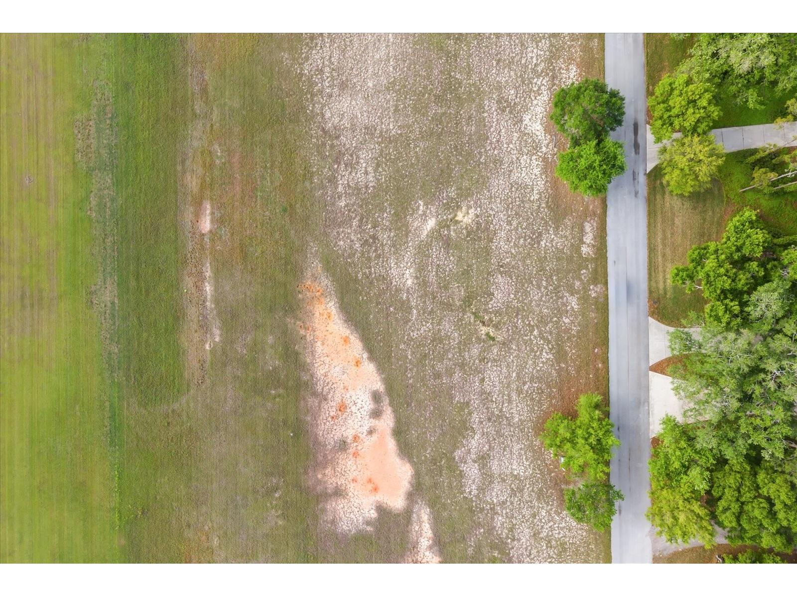 Grass Roots Road #LOT 11 Groveland FL 34736 O6398676 image19