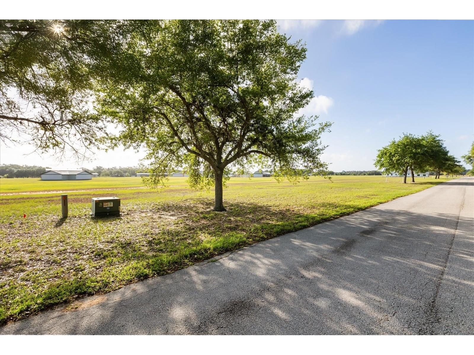 Grass Roots Road #LOT 11 Groveland FL 34736 O6398676 image20