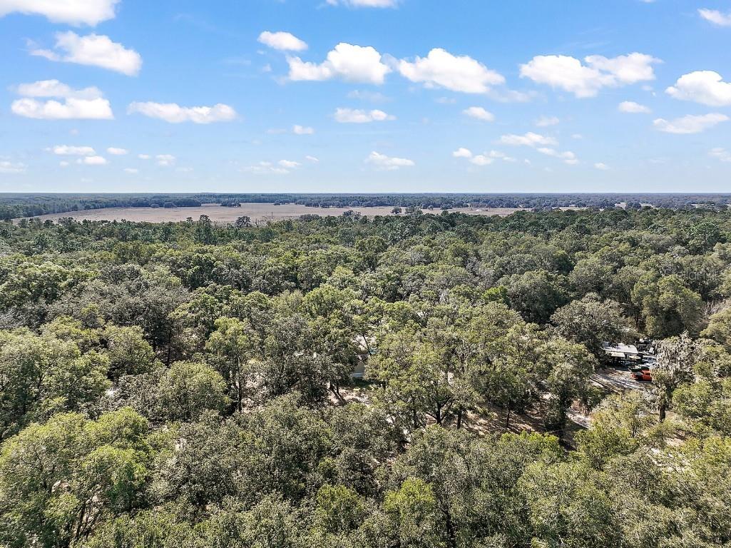 Grays Airport Rd Lady Lake FL 32159 J959867 image1