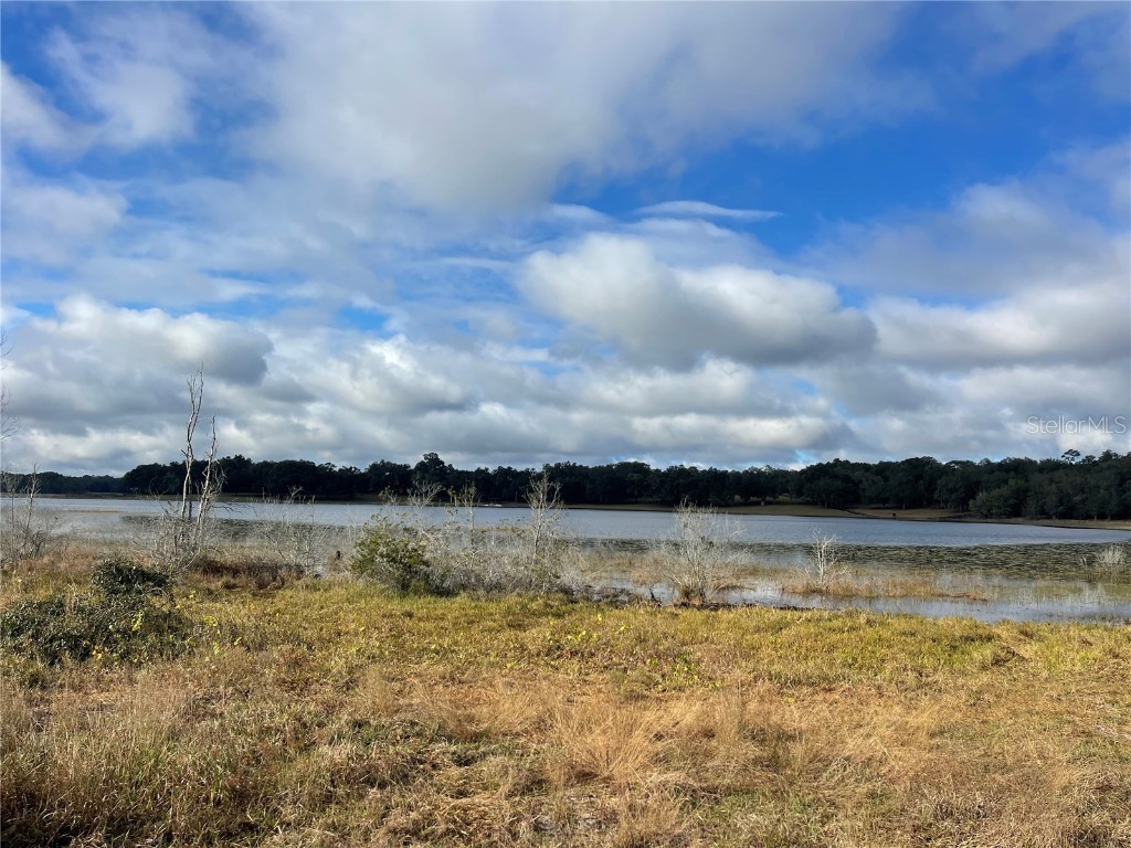 Grays Airport Road Lady Lake FL 32159 - Lady Lake O6329024 image1