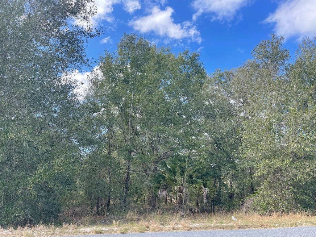 Grays Airport Road Lady Lake FL 32159 - Lady Lake O6329024 image5