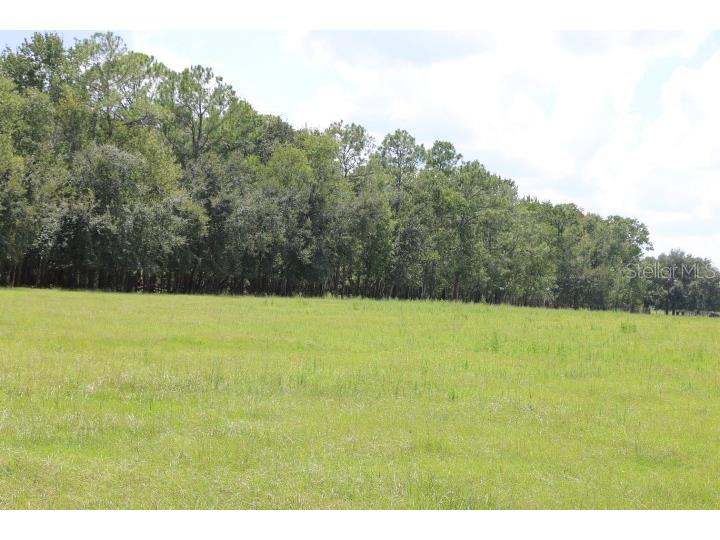 Green Swamp Road Clermont FL 34714 O6339581 image1