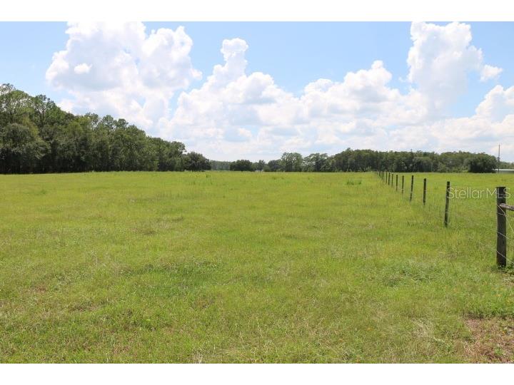 Green Swamp Road Clermont FL 34714 O6339581 image10