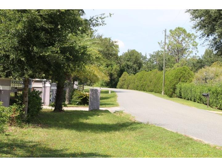Green Swamp Road Clermont FL 34714 O6339581 image14