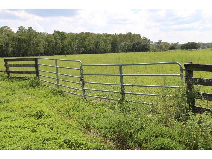 Green Swamp Road Clermont FL 34714 O6339581 image15