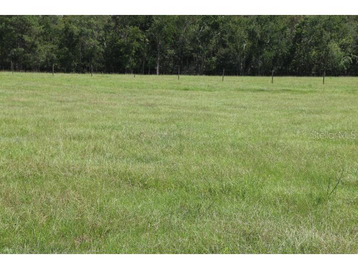 Green Swamp Road Clermont FL 34714 O6339581 image17