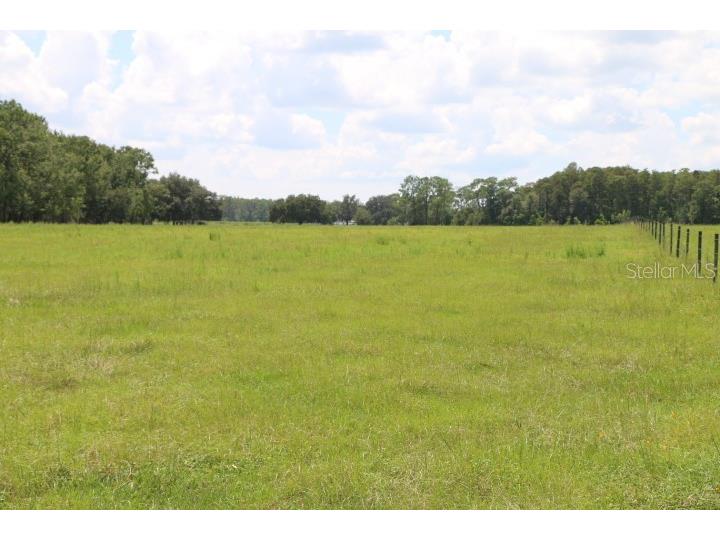 Green Swamp Road Clermont FL 34714 O6339581 image2