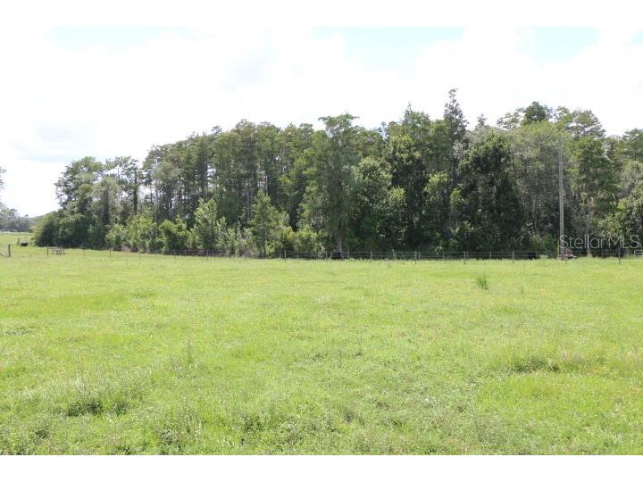 Green Swamp Road Clermont FL 34714 O6339581 image21
