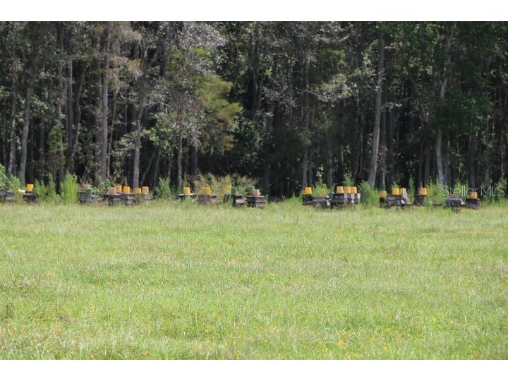 Green Swamp Road Clermont FL 34714 O6339581 image22