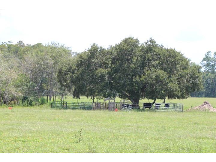 Green Swamp Road Clermont FL 34714 O6339581 image23