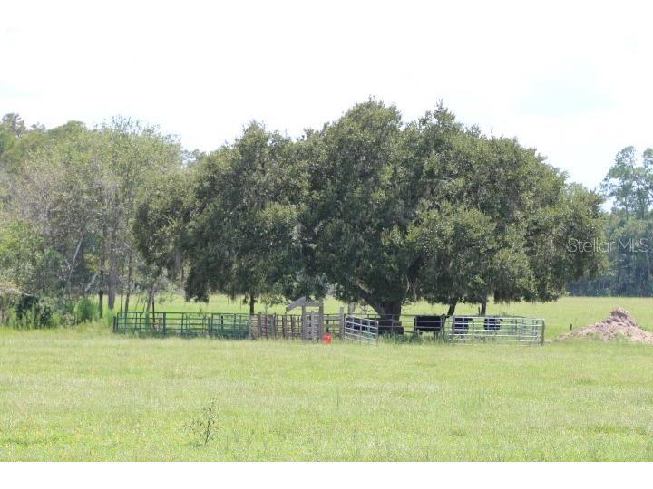 Green Swamp Road Clermont FL 34714 O6339581 image24