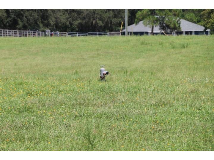 Green Swamp Road Clermont FL 34714 O6339581 image25