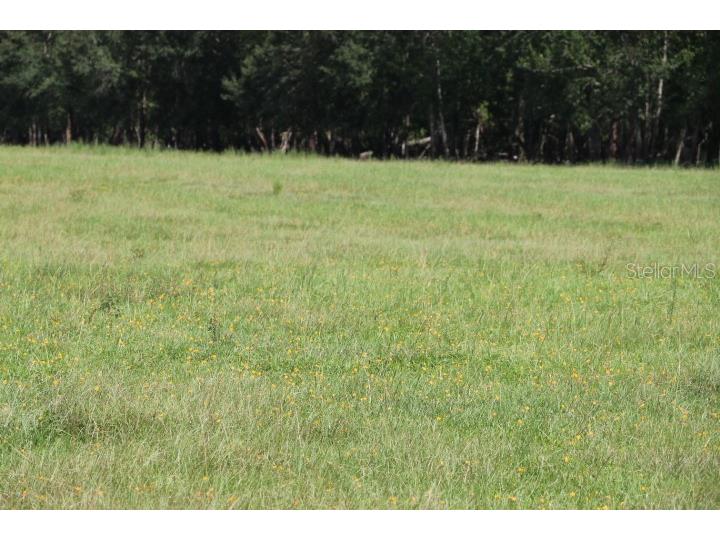 Green Swamp Road Clermont FL 34714 O6339581 image26