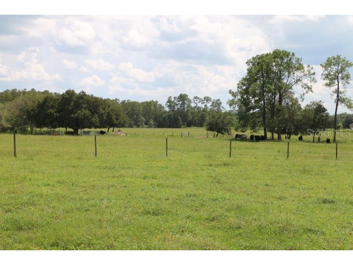 Green Swamp Road Clermont FL 34714 O6339581 image29
