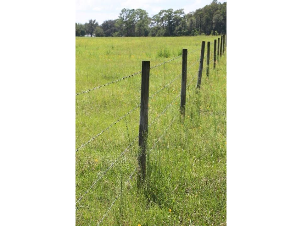 Green Swamp Road Clermont FL 34714 O6339581 image3