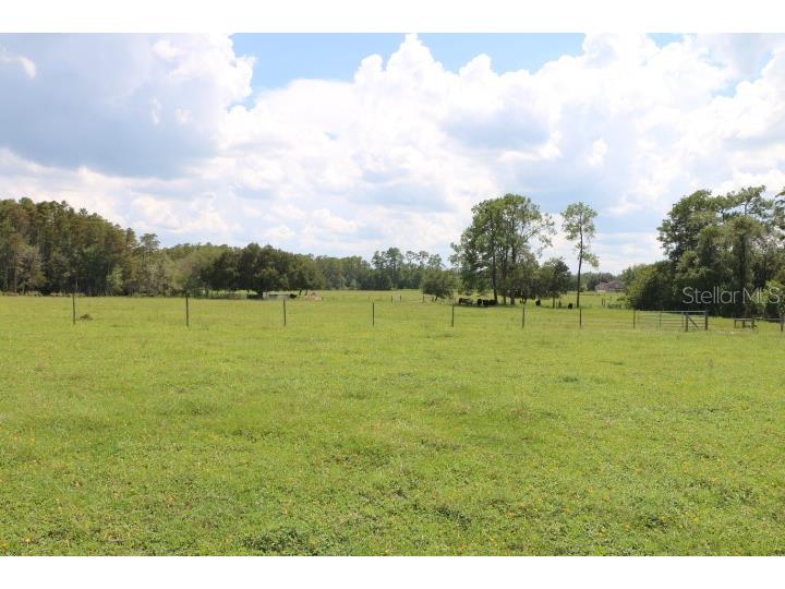 Green Swamp Road Clermont FL 34714 O6339581 image30