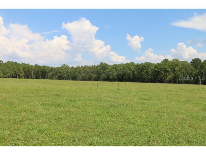 Green Swamp Road Clermont FL 34714 O6339581 image31