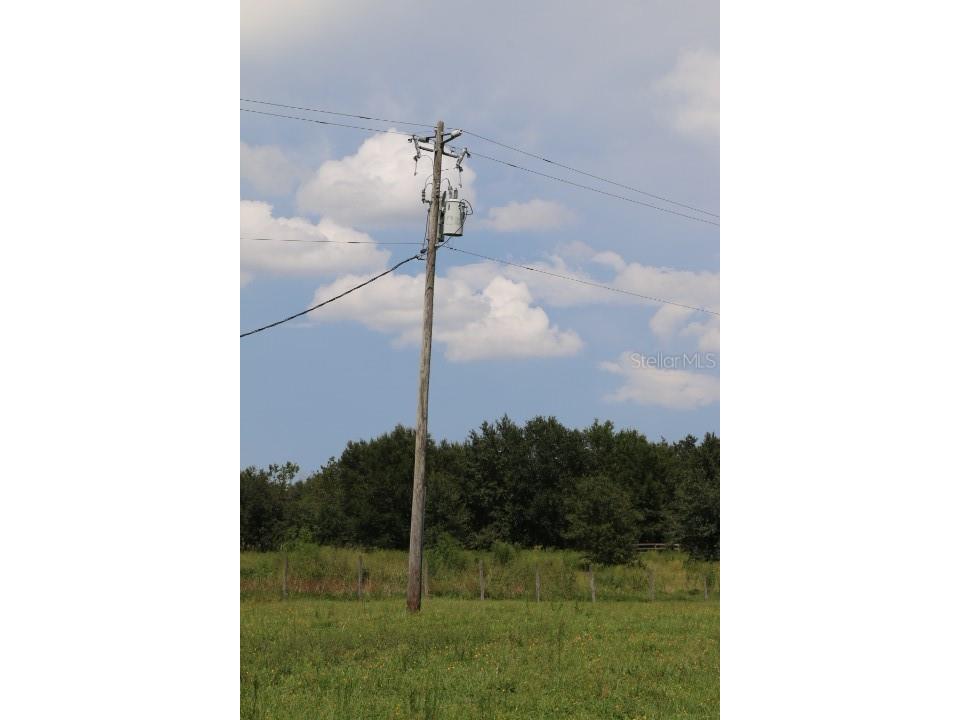 Green Swamp Road Clermont FL 34714 O6339581 image33