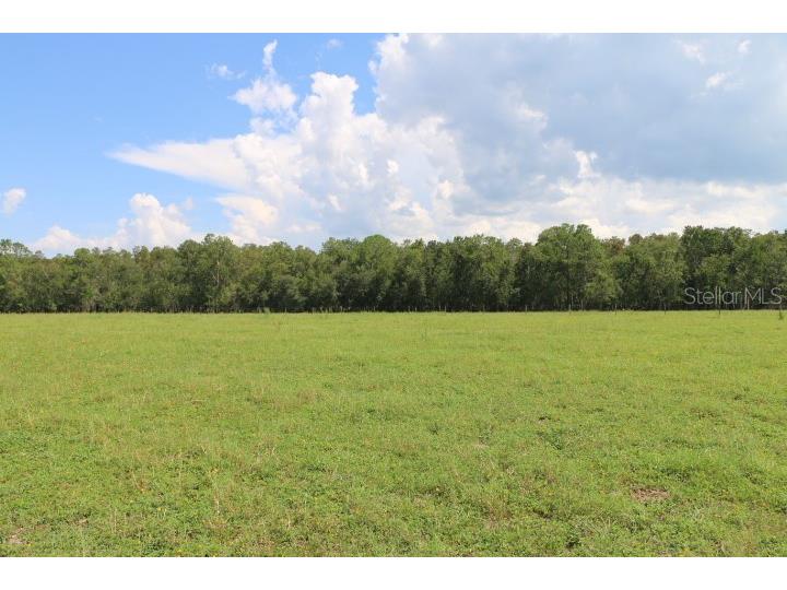 Green Swamp Road Clermont FL 34714 O6339581 image34