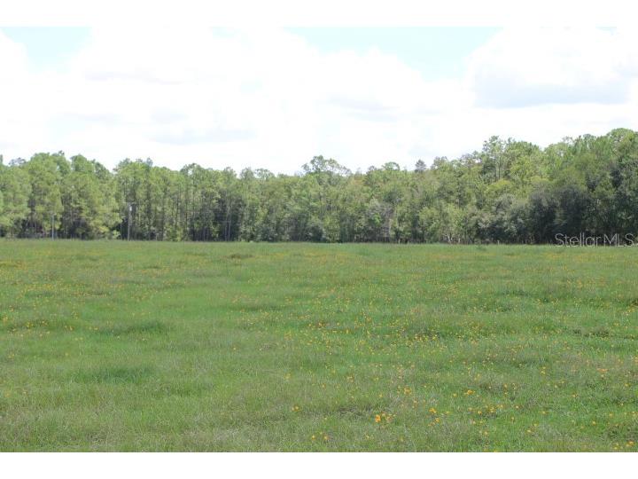 Green Swamp Road Clermont FL 34714 O6339581 image37