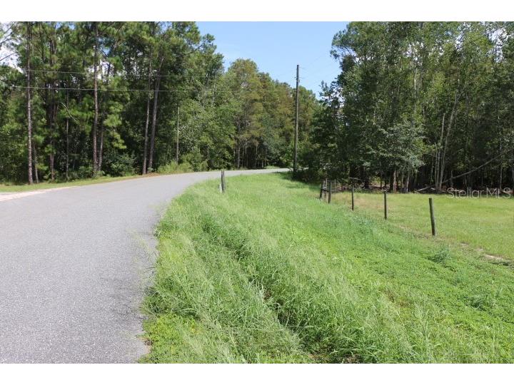 Green Swamp Road Clermont FL 34714 O6339581 image4