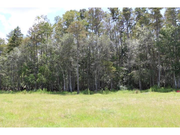 Green Swamp Road Clermont FL 34714 O6339581 image43