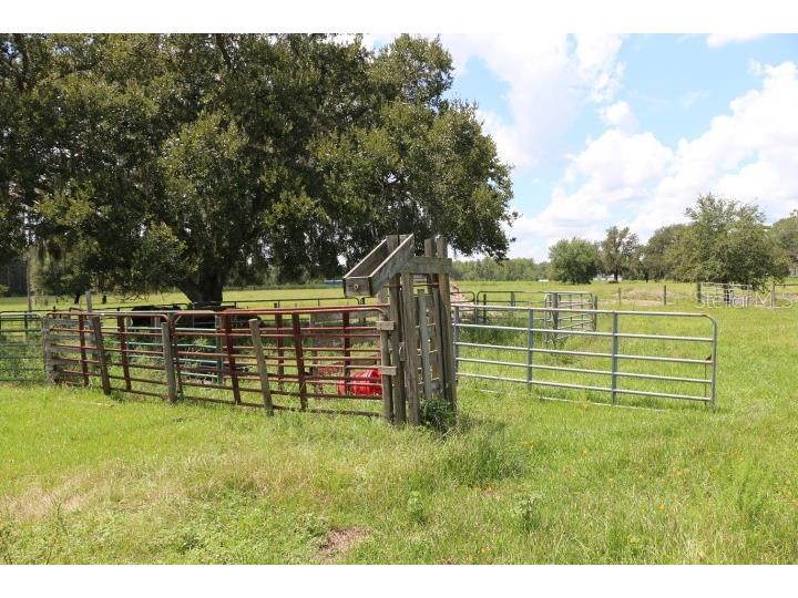 Green Swamp Road Clermont FL 34714 O6339581 image45