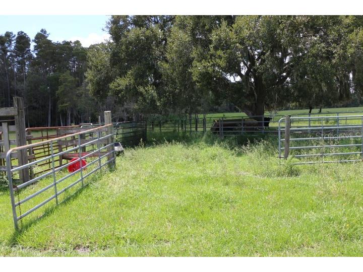 Green Swamp Road Clermont FL 34714 O6339581 image46