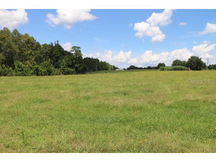 Green Swamp Road Clermont FL 34714 O6339581 image47
