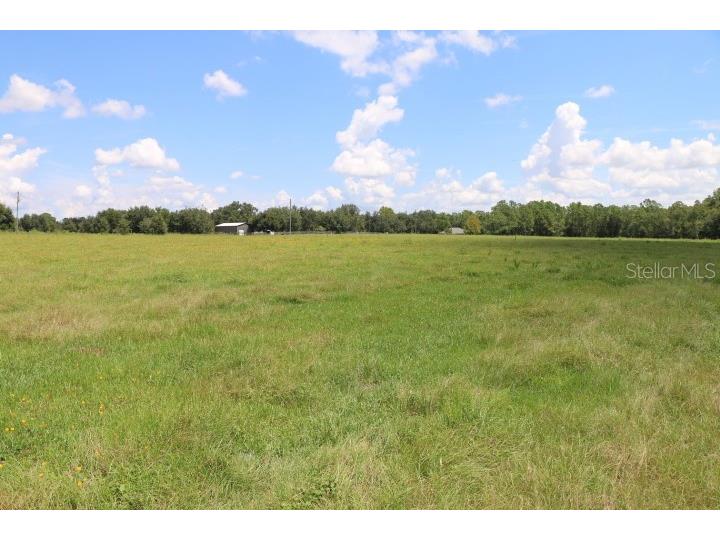 Green Swamp Road Clermont FL 34714 O6339581 image48