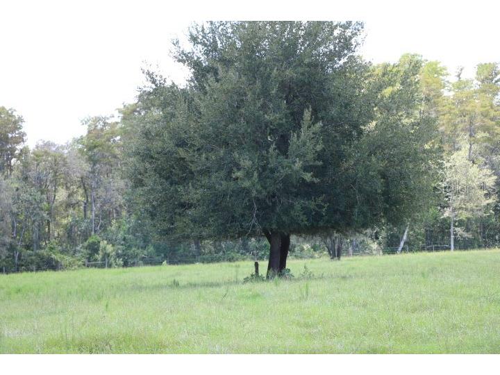 Green Swamp Road Clermont FL 34714 O6339581 image50