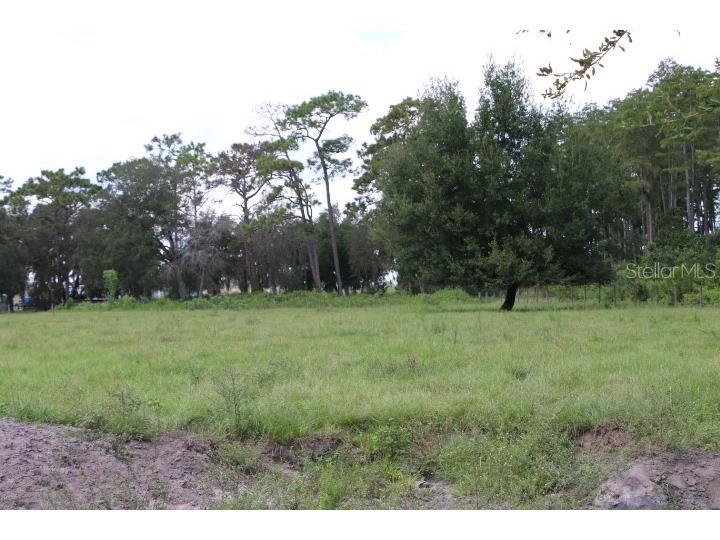 Green Swamp Road Clermont FL 34714 O6339581 image51