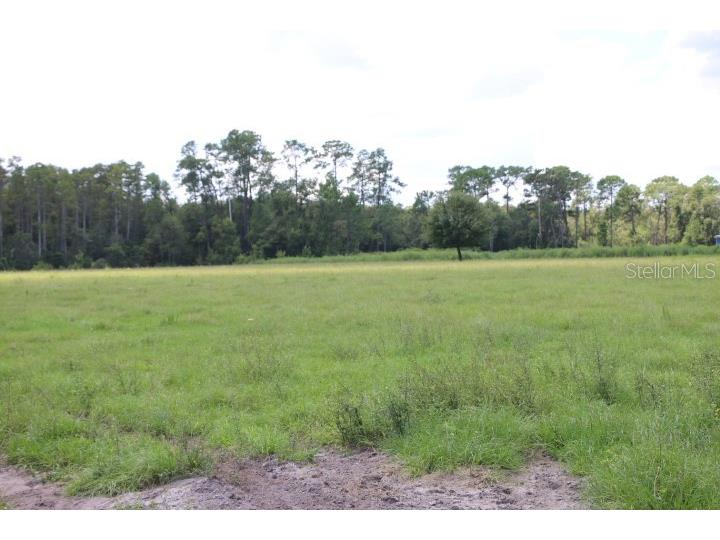 Green Swamp Road Clermont FL 34714 O6339581 image52