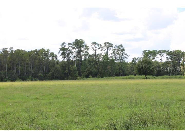 Green Swamp Road Clermont FL 34714 O6339581 image53