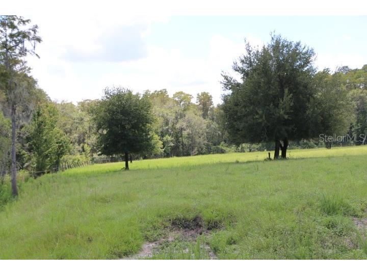 Green Swamp Road Clermont FL 34714 O6339581 image54