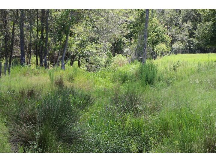 Green Swamp Road Clermont FL 34714 O6339581 image55